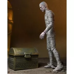 Universal Monsters Accessory Pack for Action Figure The Mummy