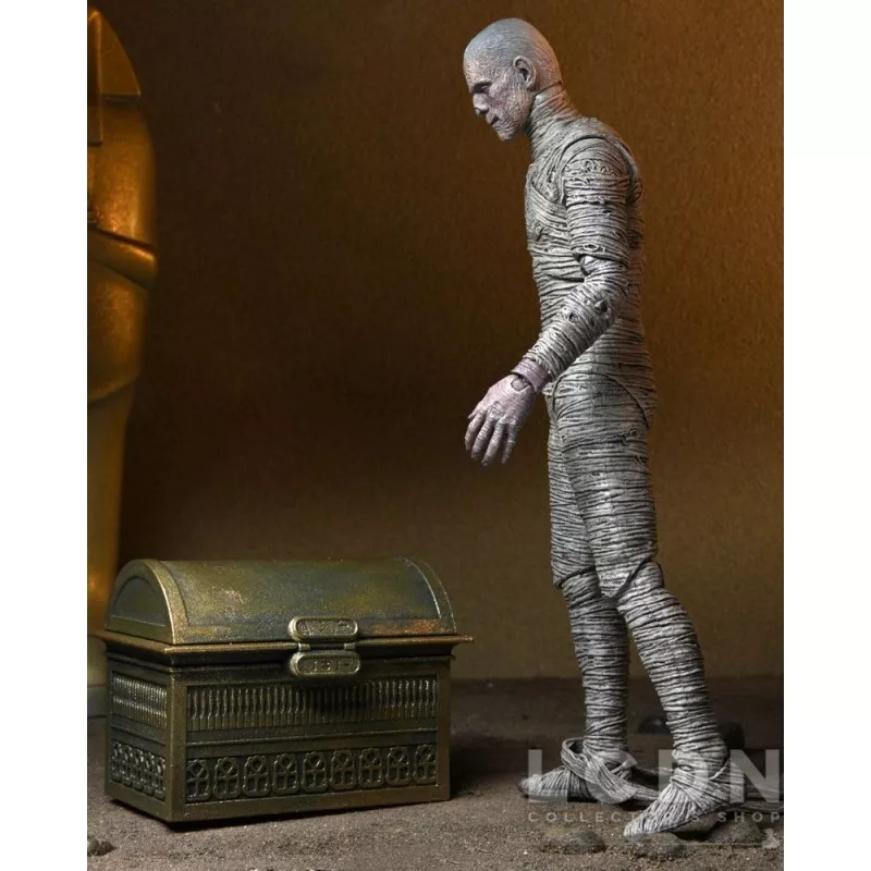 Universal Monsters Accessory Pack for Action Figure The Mummy