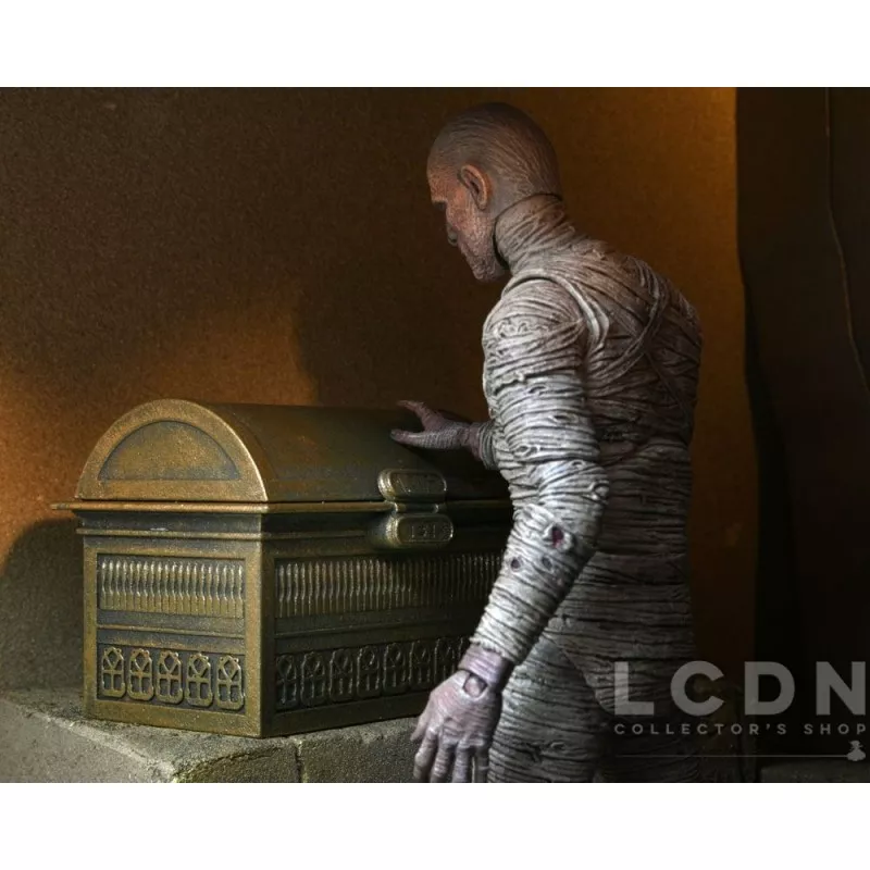 Universal Monsters Accessory Pack for Action Figure The Mummy