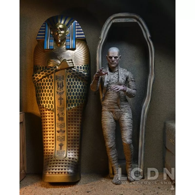 Universal Monsters Accessory Pack for Action Figure The Mummy