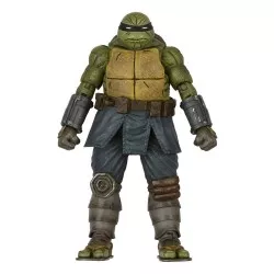 Les Tortues Ninja (Teenage...