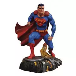 DC Gallery PVC Statue...