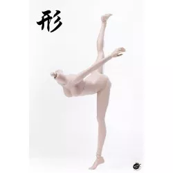 XING Series Modified Version Super flexible Pale Body Small Bust 1/6 POPTOYS 92006 A