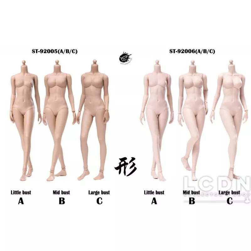 XING Series Modified Version Super flexible Pale Body Small Bust 1/6 POPTOYS 92006 A