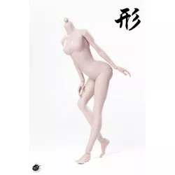 XING Series Modified Version Super flexible Pale Body Small Bust 1/6 POPTOYS 92006 A