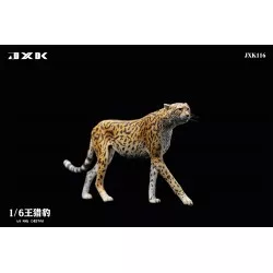 Guepard royal King Cheetah...