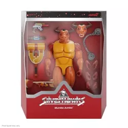 SilverHawks Action Figure...