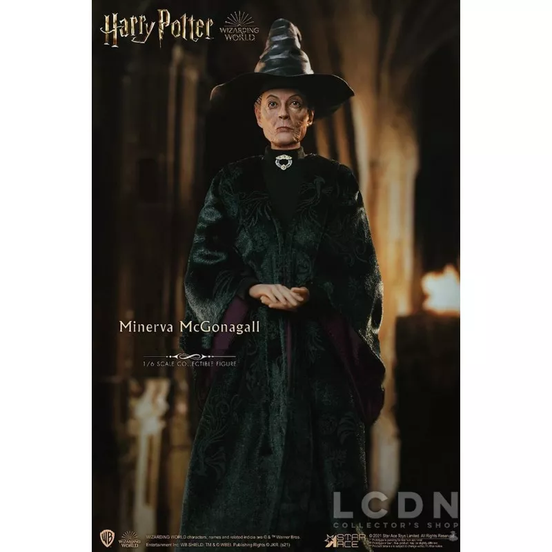 Harry Potter My Favourite Movie Action Figure 1/6 Minerva McGonagall (  Maggie Smith ) Normal Ver. 29