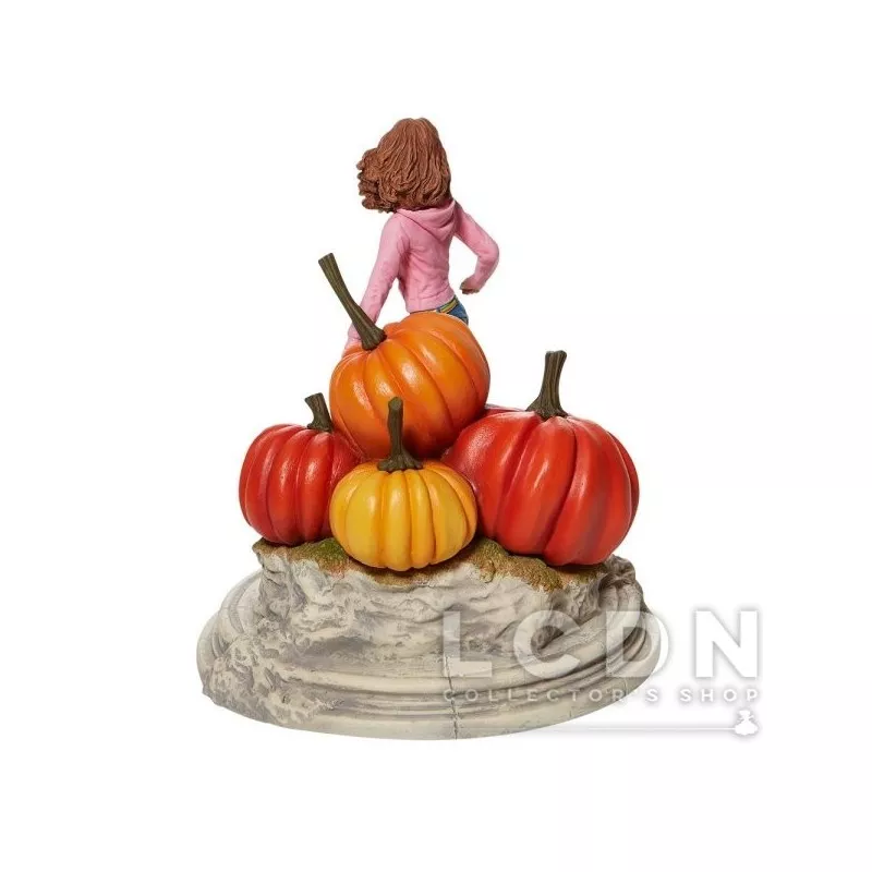 Harry Potter Statue Hermione 3ème Année 23cm