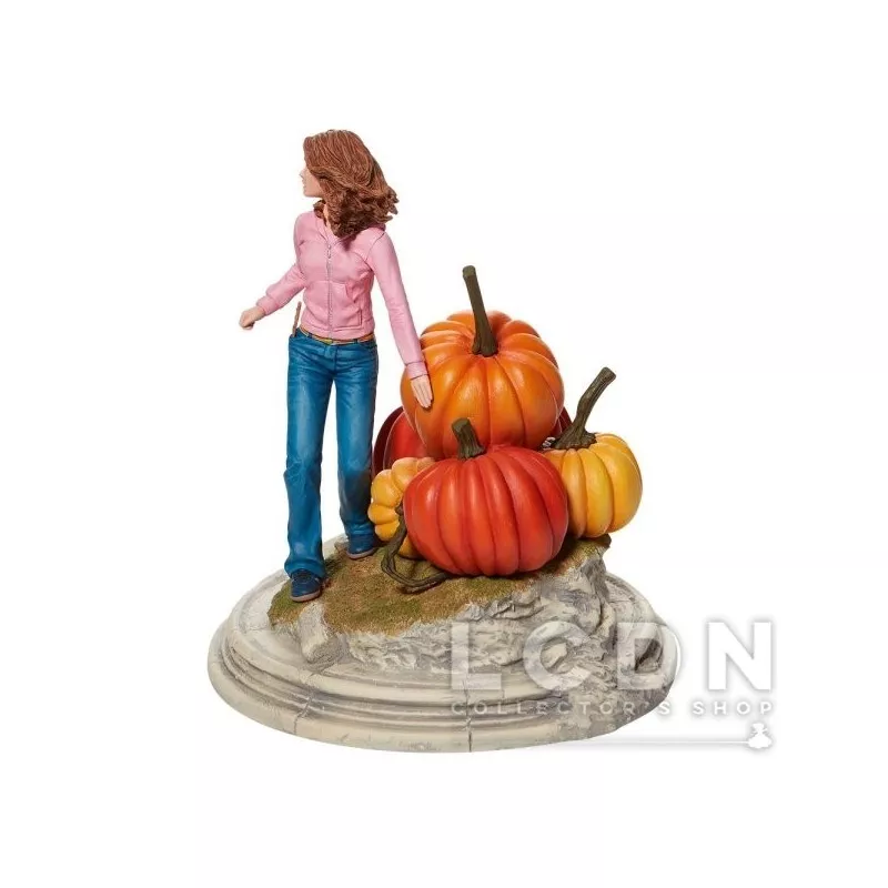 Harry Potter Statue Hermione 3ème Année 23cm