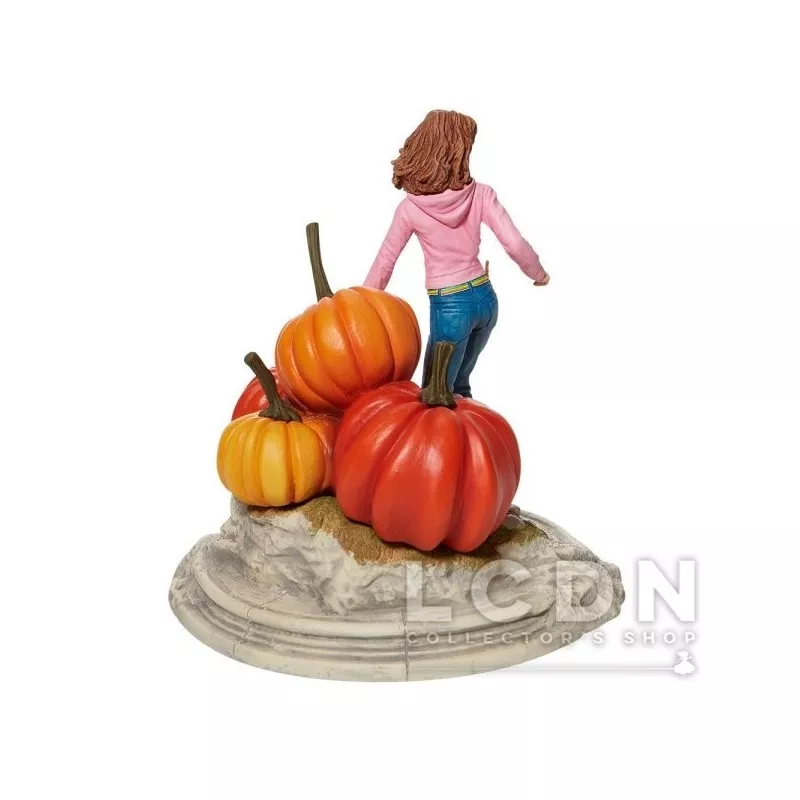 Harry Potter Statue Hermione 3ème Année 23cm