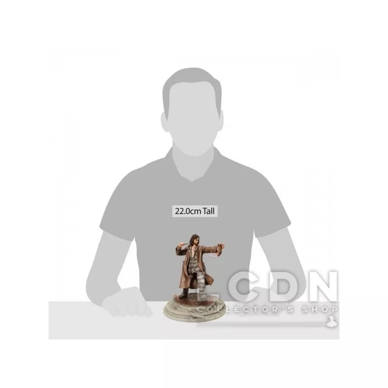 Harry Potter Statue Sirius Black Prisonnier 22cm
