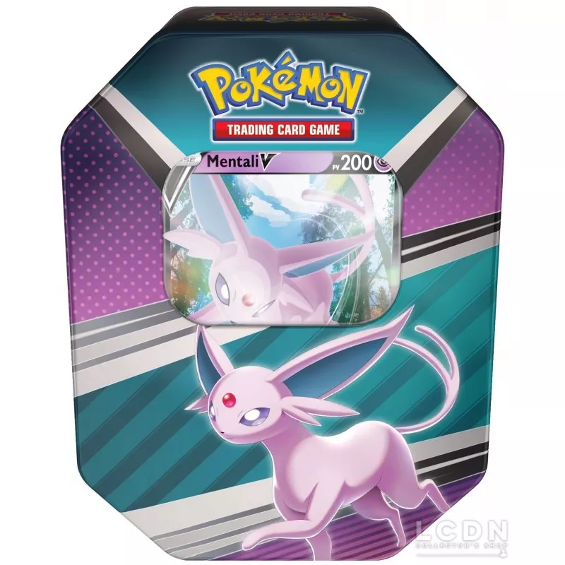 Range Carte Pokémon Évoli et Évolutions • La Pokémon Boutique