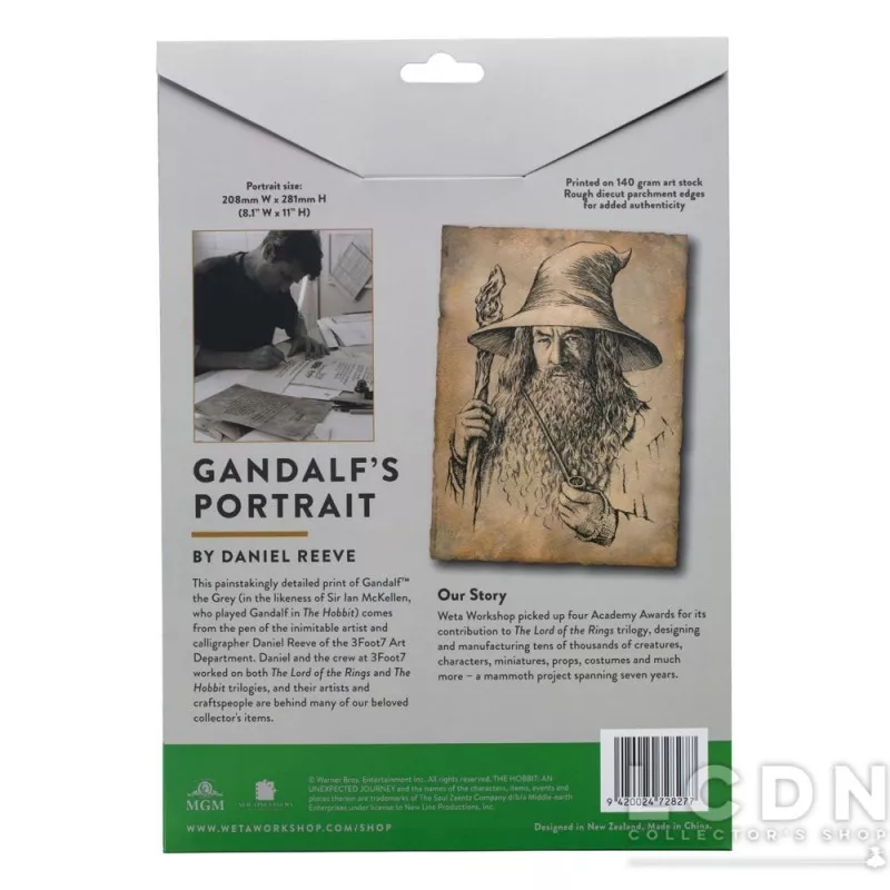 The Hobbit Art Print Portrait of Gandalf The Grey 21x28 cm