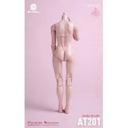 Female Body Girl Body 1/6 Skin Color Pale WorldBox AT201