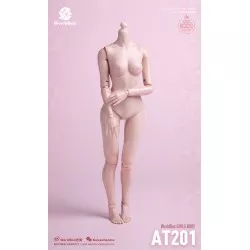 Female Body Girl Body 1/6 Skin Color Pale WorldBox AT201