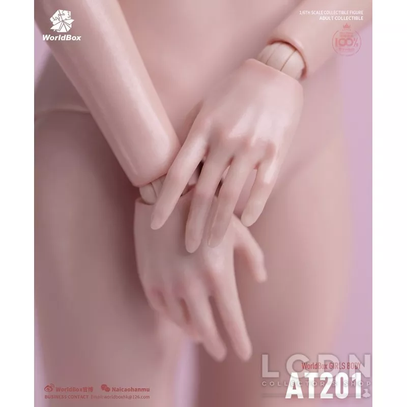 Female Body Girl Body 1/6 Skin Color Pale WorldBox AT201