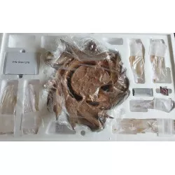 Condition : Statue neuve. Jamais exposée. Ouvert pour check ( N°2854/3000)