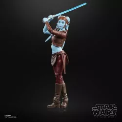 Star Wars Episode II The Black Series Action Figure 2022 Aayla Secura 15cm