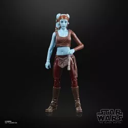 Star Wars Episode II The Black Series Action Figure 2022 Aayla Secura 15cm