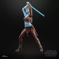 Star Wars Episode II The Black Series Action Figure 2022 Aayla Secura 15cm