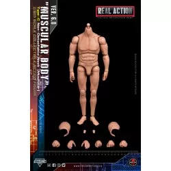 Male Body Action Figure 1/6...