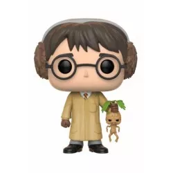 Harry Potter POP! Movies...