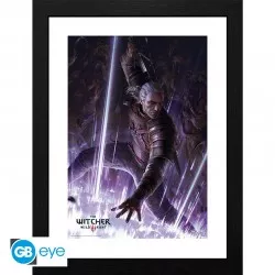 The Witcher Framed print...