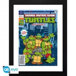 Tortues Ninja (Teenage...