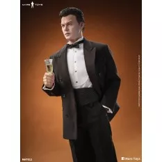 Mr.W 1989 Version Collectible Action Figurine 1/6 Mars Toys MAT012