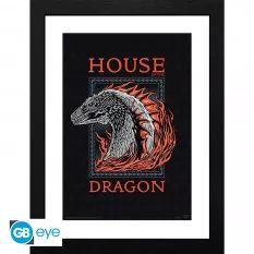 House Of The Dragon Framed...