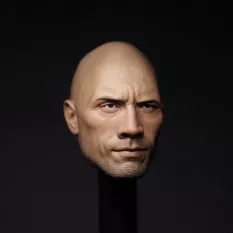 Tête Headsculpt 1/6 Stone...