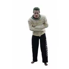 Hot Toys MMS373 Suicide...