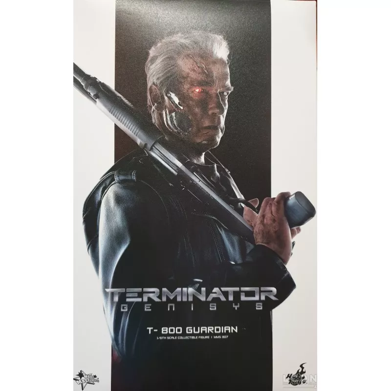 Hot Toys Terminator Genisys T-800 Guardian 1:6 Scale Figure – The Toys Time  Forgot