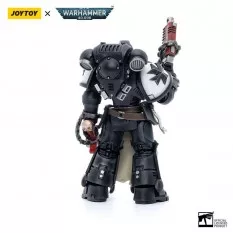 Warhammer 40k Pack de 4 Action Figurines 1/18 Black Templars Army Primaris Crusader Squad Joytoy 12cm