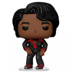 James Brown POP! Rocks...