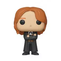 Harry Potter Pop! Movies...