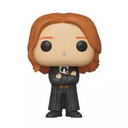 Harry Potter Pop! Movies...