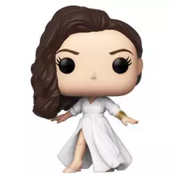 DC Wonder Woman 1984 POP!...