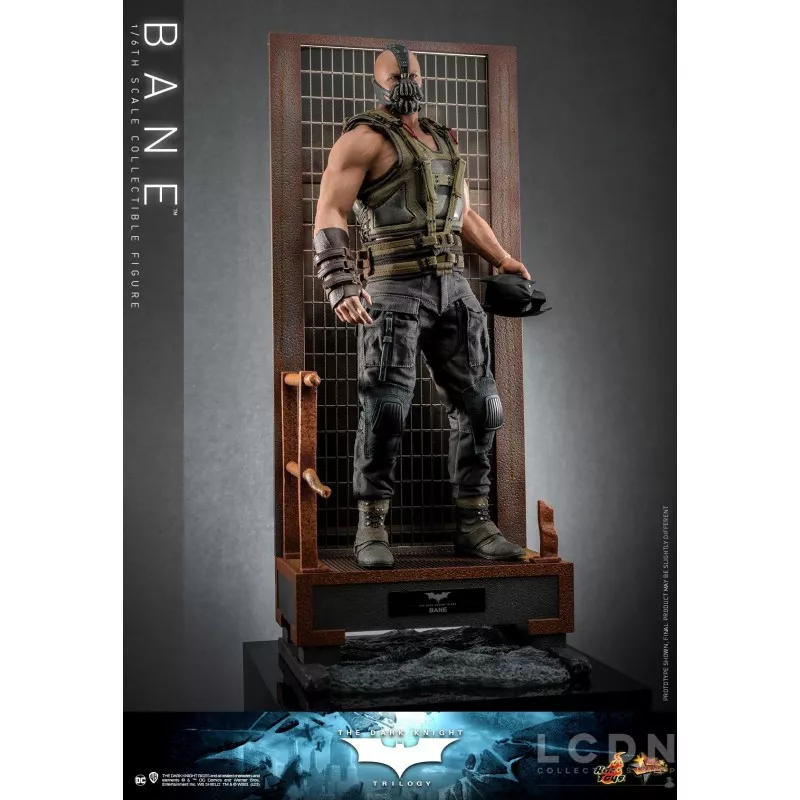 Hot toys bane top