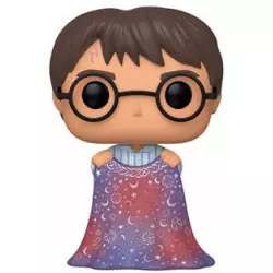 Harry Potter POP! Movies...