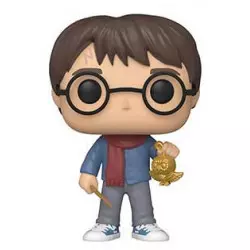 Harry Potter POP! Movies...