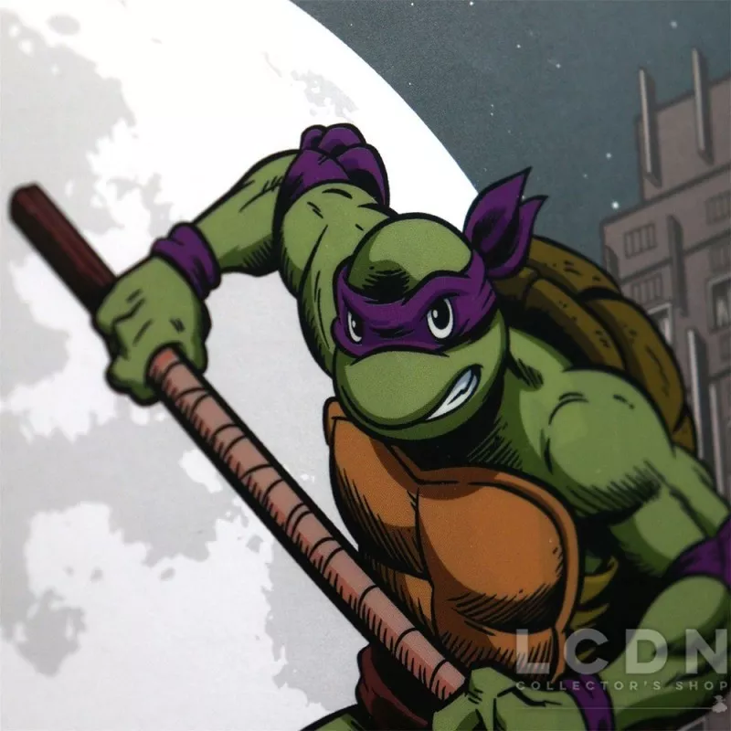 Les Tortues Ninja (Teenage Mutant Ninja Turtles) Lithographie Fan-Cel Limited Edition 36x28cm