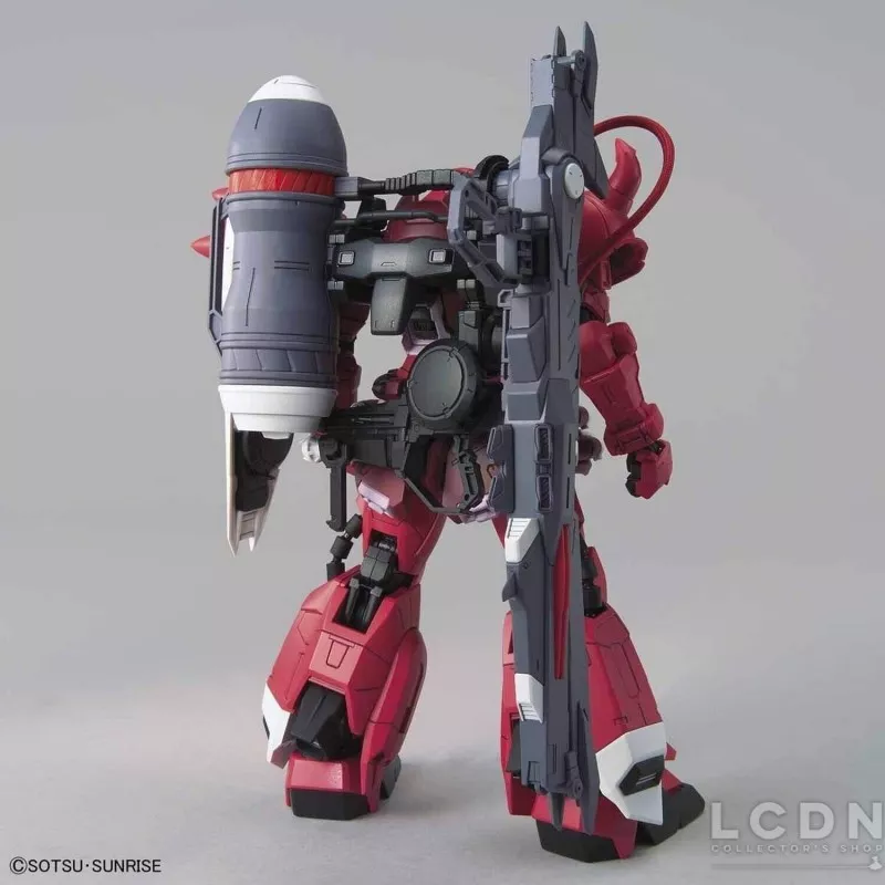 MG Gundam Seed Destiny Zaku Warrior Lunamaria Hawke Custom 1/100 Model Kit 18cm