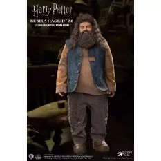 Harry Potter Rubeus Hagrid...