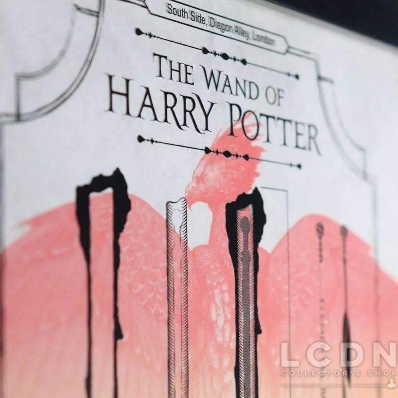 Harry Potter Art Print Limited Edition Fan-Cel 36x28cm