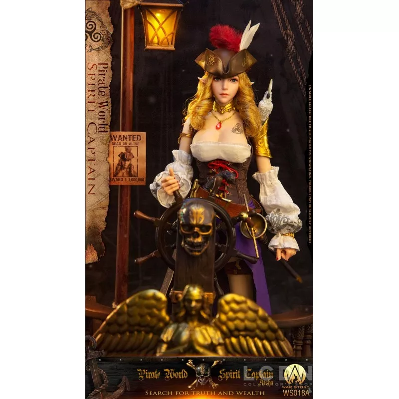 Pirate World Spirit Captain Aisha (Elsa) Collectible Action Figurine 1/6 War Story WS018A