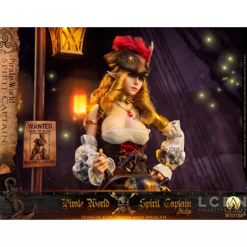Pirate World Spirit Captain Aisha (Elsa) Collectible Action Figurine 1/6 War Story WS018A