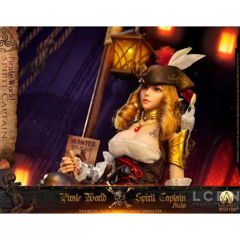Pirate World Spirit Captain Aisha (Elsa) Collectible Action Figurine 1/6 War Story WS018A