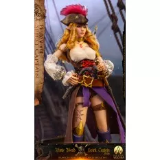 Pirate World Spirit Captain Aisha (Elsa) Collectible Action Figurine 1/6 War Story WS018A